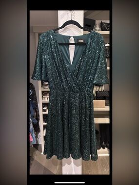 Alexia Admor Women's Emerald Fit and Flare Sequin Dress